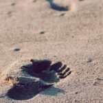 Architecto non quis veritatis laborum beatae